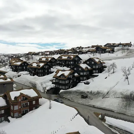 Cozy Ski-in Ski-out On Geilo, Stunning Views! Geilo