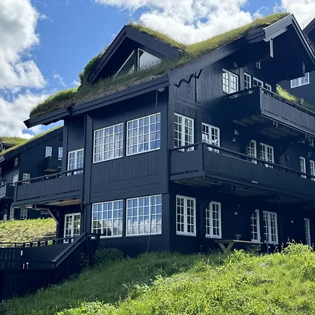 Cozy Ski-in Ski-out On Geilo, Stunning Views! * Geilo