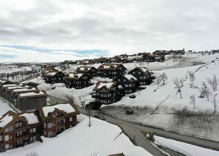 Cozy Ski-in Ski-out On Geilo, Stunning Views! Geilo